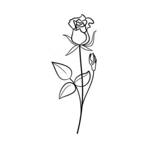 6_Rose